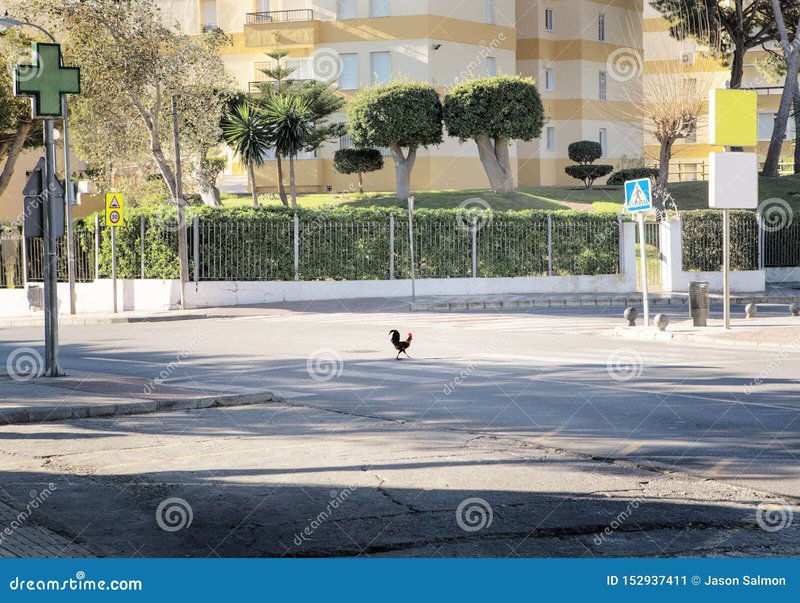 Chicken road casino, chicken road